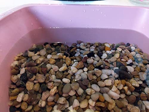 Voulosimi 40 LBS River Rock Stones, Natural Decorative Polished Mixed Pebbles Gravel,Outdoor Decorative Stones for Plant Aquariums, Landscaping, Vase Fillers - size: 40 LB