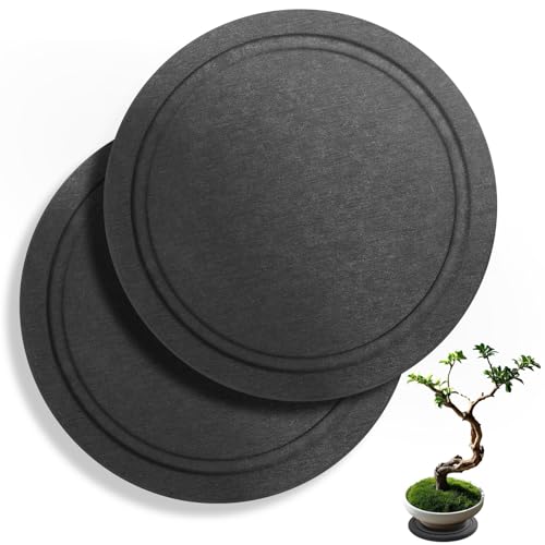 Augshy Plant Saucers, 2 Pack 6 Inch Diatomaceous Earth Instant Dry Tray | Round Pot Trays to Catch Water, Indoor Outdoor Plant Drip Pans, Quick Drying Flower Pot Saucer - size: 6 Inch