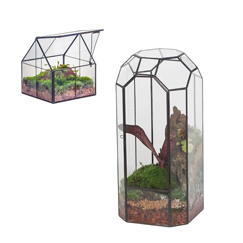 NCYP Glass Terrarium - Mini House Shape Terrarium with Lid, and Closed Geometric Terrarium with Door, for Small Succulent Cacti, Ferns