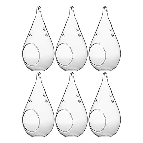 WGV Glass Hanging Plant Terrarium Bulk, Width 3.5", Height 7", Teardrop DIY Air Succulent Planter Clear Tea Light Votive Candle Holder, Wedding Event Office Home Outdoor Decor, 6 Pieces