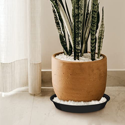 6 Pack Plant Saucer 12 14 16 18 20 22 Inch Plastic Plant Tray, Sturdy and Durable Flower Pot Container Accessories Plant Pot Saucers for Indoor and Outdoor (16 Inch, Black) - size: 16 Inch