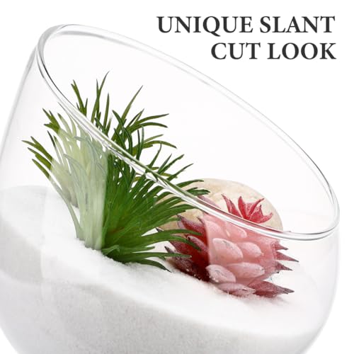 HANABASS Glass 1pc Wedding Cut Event Candle Orb Fish Indoor Floral Containers Slant Bowl Stand Bottle Plant Vase Center Micro Decoration Globe Lifelike Succulents Home Decor