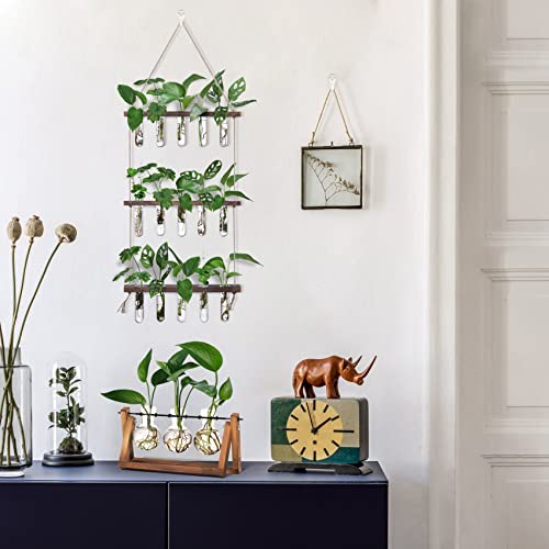XXXFLOWER Wall Hanging Propagation Station with Wooden Stand 5 Glass Test Tubes 3 Tiered + 2L Long Green Spout Removable Nozzle Flower Watering Pot