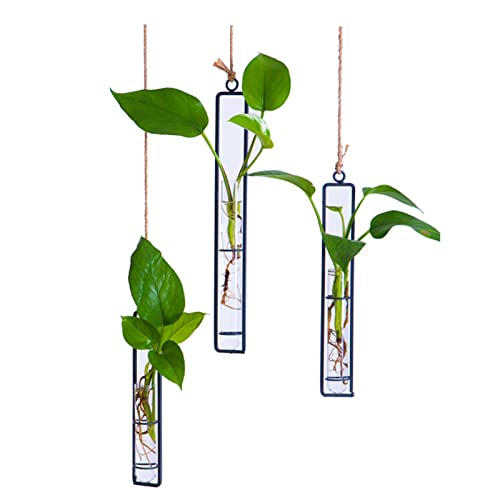 3 Pieces Hanging Glass Hydroponic Planter Transparent Test Tube Plant Vase Terrarium Container for Indoor Outdoor Modern Home Decoration (Black) - color: Black