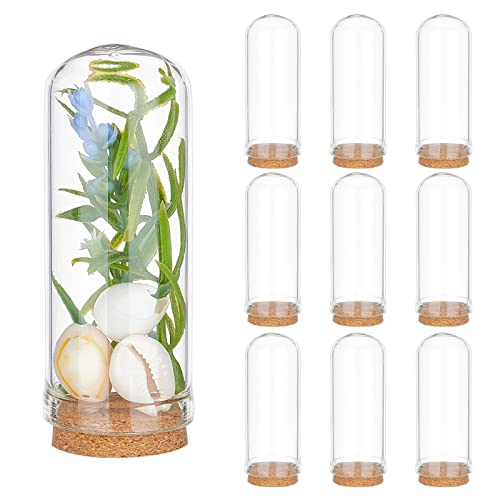 PH PandaHall 10pcs Glass Display Dome Cloche 20ml Bottles 1.1x2.8inch | Display Bell Jar with Cork Base, Glass Decoration Bottles for Wedding, Fairy Party Favors, Crafts, Christmas Decorations - size: 1.1 x 2.7 inches