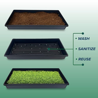 10 Plant Growing Trays (WITH Drain Holes) - 20" x 10" - Perfect Garden Seed Starter Grow Trays: For Seedlings, Indoor Gardening, Growing Microgreens, Wheatgrass & More - Soil or Hydroponic - size: Pack of 10