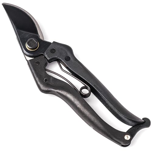 Wablade Japanese Pruning Shears, Bypass Garden Pruner 7.9", Made in Japan | Garden shears cut live branches up to 0.59", forged alloy steel blade for clean, controlled pruning (Standard Model) - style: Standard Model