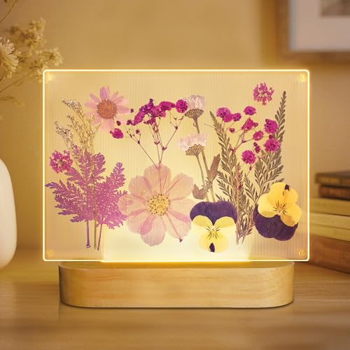 Dried Flowers Picture Frame Night Light, DIY Pressed Floral Desk LED Lamp with Wood Base, Creative Mother Day Birthday Gifts for Mom Women Girl Friend, Home Bedroom Bedside Office Table Decor - color: Purple Flower Frame Lamp