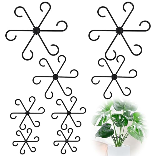 8PCS Plant Stem Support, Monstera Plant Support Clips for Indoor Plants - color: 8pcs