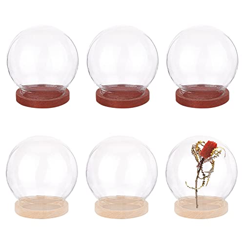 NBEADS 6 Pcs Mini Glass Dome, 1.57" in Diameter Round Glass Display Dome Glass Cloche Dome Clear Glass Display Dome Cover with Wood Base for Centerpieces Plants Rocks Specimens Decorations Crafts - size: 1.65X1.57"