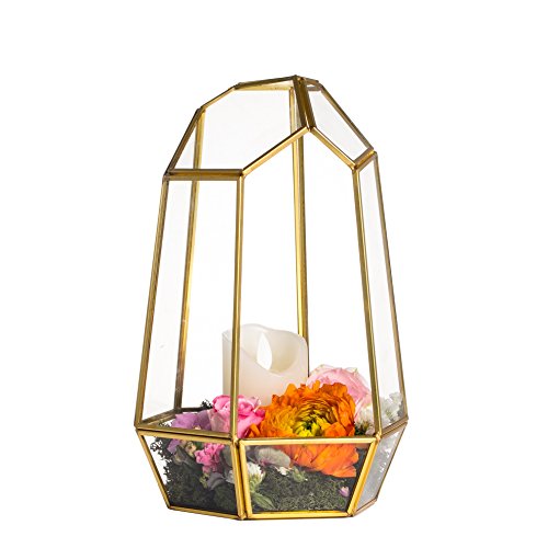 NCYP NO Door Gold Geometric Glass Terrarium for Succulent Air Plants