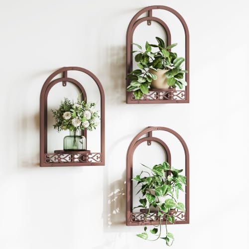 3-Pack Wall Plant Stands, Indoor Plant Holders Dorm, Coffee | Space-Saving, rustproof iron frame, holds 25 lbs. Ideal for dorm, apartment, living room.Easy mount, gift idea. - color: 3 Pack Coffee