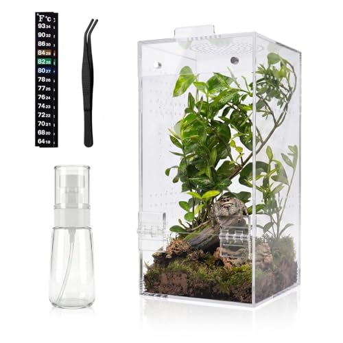 4"×4"×8" Ready-to-Use Acrylic Jumping Spider Enclosure No Assembly Needed | 360° Ventilation, Mini Reptile Terrarium for Jumping Spider, Mantis, Snail – Ideal for Desk, Living Room & Bedroom - color: Transparent