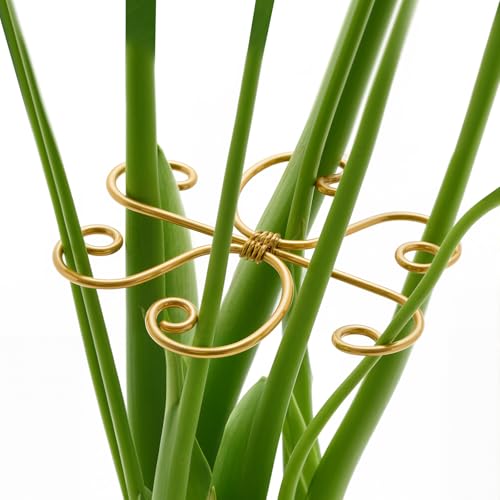 4PCS Iron Monstera Support, Uniquely Designed Plant Support Stakes for Indoor Plants, Stable Plant Stakes and Supports, Turtle Shell Bamboo Clamp Set for Thriving Growth