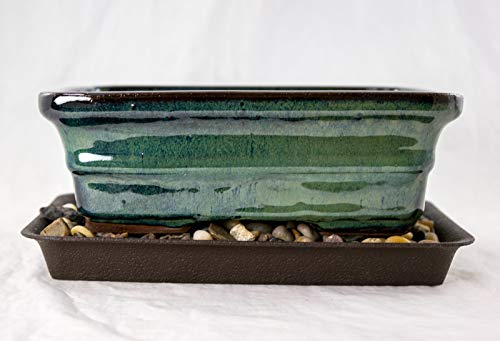 8" Rectangular Green Stain Bonsai/Succulent Pot + Tray + Rock + Mesh Combo
