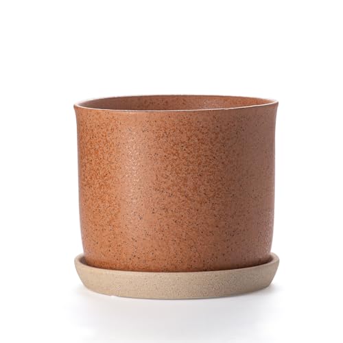 8 Inch Ceramic Plant Pot with Drainage Hole & Separate Saucer | Indoor/Outdoor Planter with Tray - Terracotta Flowerpot for Home & Office - color: Terracotta, size: 8 inch