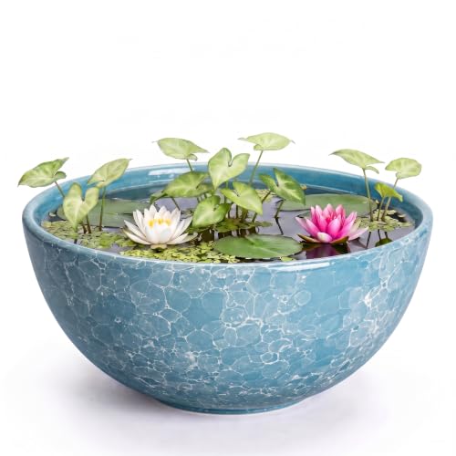 Lotus Bowl Ceramic, 10 Inch Succulent Planters, Droplet Blue | Bonsai Pots for Indoor Plants Outdoor, Round Flower Bowl with Drainage Hole, Shallow Planter, Entryway Decor, Birthday Gifts - color: Droplet Blue-1, size: 10 Inch