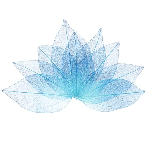 M METERXITY 100-Pack Skeleton Leaves, Natural Rubber Tree Dried Pressed Leaves Vein for Resin/DIY Crafts Card/Scrapbook/Wedding, Small Leaves Decorative [4-6cm, Sky Blue, Sapphire Blue] - color: Sky Blue, Sapphire Blue