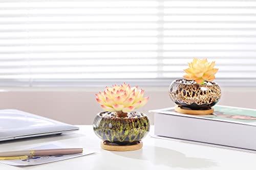Cute Ceramic Succulent Garden Pots, Planter with Drainage and Attached Saucer, Set of 5 -Plants Not Included (Vivid Colors) - color: Vivid Colors