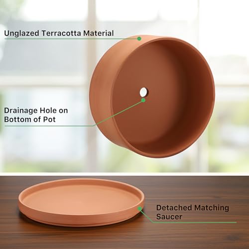 JUXYES 10 Inch Shallow Terracotta Pots with Holes and Saucers for Succulent | Built-in Drainage Hole, Wide Shallow Planter Clay Flower Pots for Indoor & Outdoor, Planter for Succulent, Cacti, Bonsai - size: 10 Inches
