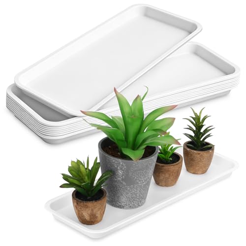 Garneck 10 Pack Rectangular Plant Saucer Trays Plastic Pot Trays for Indoor and Outdoor Pots Water Catcher Drip Tray for Flower Pots Reusable Bonsai Pot Saucer 15.66 X 5.90 X 0.78 in