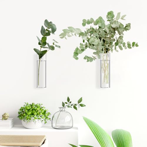 2 Pack Wall Mounted Glass Vase Set with Hooks High Borosilicate Transparent Hanging Flower Vase for Home Decor Dining Table