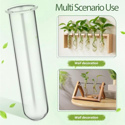 UKCOCO 5Pcs Glass Test Tube Vases 4.33 Inch Clear Propagation Tubes for Plant Cuttings Hydroponic Plant Holders Desktop Floral Arrangement for Home Office Decor