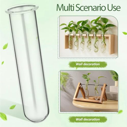 UKCOCO 5Pcs Glass Test Tube Vases 4.33 Inch Clear Propagation Tubes for Plant Cuttings Hydroponic Plant Holders Desktop Floral Arrangement for Home Office Decor