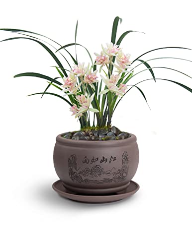 Dahlia 4.8" Beautiful Scenery Zisha Bonsai Planter/Succulent Pot/Flower Pot w. Saucer, Dark Brown - color: Style 21: Dark Brown