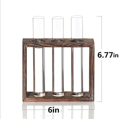 Kingbuy 3 Pack Glass Test Tube Propagation Vase Hydroponic Cuttings Planter