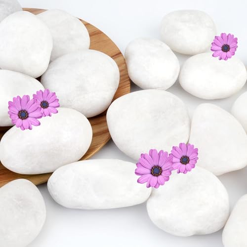 NUPICK 6lb White River Rocks for Plants Indoor, Pebbles for Landscaping - color: White, size: 2-3"-6lb