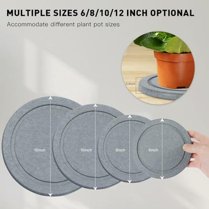Azhou 2-Pack Absorbent Diatomaceous Earth Plant Saucers with Velvet Bottom - size: 8 INCH