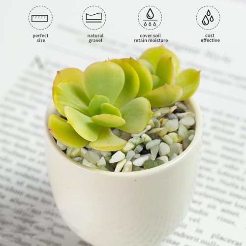 FANTIAN Jade Pebbles for Indoor Plants,1/4 Inch (3-6 MM) Polished Green Pea Gravel Small Rocks for Plants, Succulents, Cactus, Vases, Terrarium - size: 1 pound, style: Jade