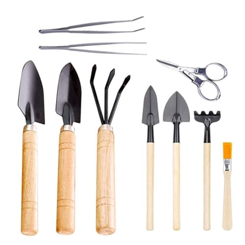Succulent Tools Set, Mini Garden Tool, Transplanting Tools Set, Succulent Care Kit for Miniature Gardening Plant(10 PCS) - style: 10 PCS