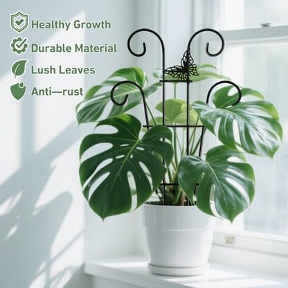 Coomin Indoor Plant Trellis for Potted Plants with Buttrtflies, 14.5in 2p | Metal House Plant Trellis for Climbing Plants, Climber Plant Support for Hoya Pothos Ivy - size: 14.5in(H)/2p butterflies