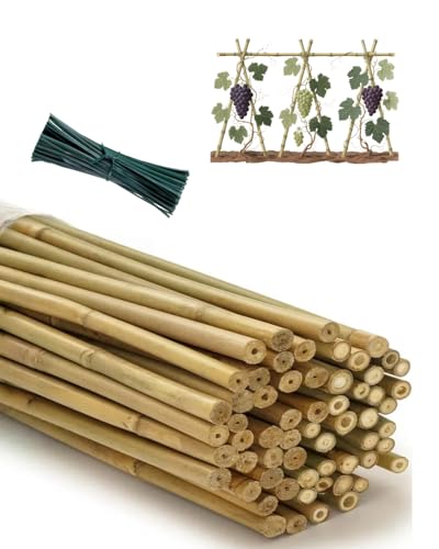 5 Ft Bamboo Stakes (58 Inch) with 100 Twist Ties Natural Bamboo Garden Stakes for Dahlias Cucumber Grapes Pole Beans Trees Potted Dahlia Flowers and Climbing Plants - Pack of 25 - size: 58 INCH-60 PACK & Ties
