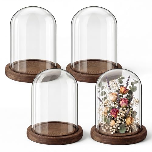 Suclain 4 Pcs Glass Display Dome Cloche Clear Dome Cloche with Wood Base Tabletop Jar Display Case for Home Office Wedding(Coffee Brown,4 x 5.5 Inch) - color: Coffee Brown, size: 4 x 5.5 Inch