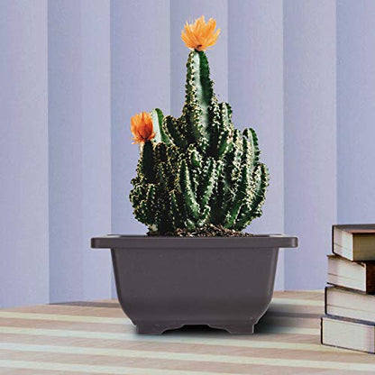 KINJOEK 15 PCS 4.7 Inch Plastic Small Square Plant Pots with Drainage Hole, Flower Succulent Bonsai Tree Pots Bonsai Starter Planter for Garden, Indoor, Home Decorative - size: 4.7 x 4.7 x 2.4 Inch