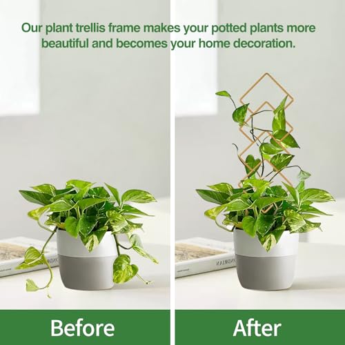 Wellsign 16inch Indoor Plant Trellis for Potted Plants | 4Pack Gold Small Trellis for Climbing Plants Outdoor Garden Metal Trellis with Different Patterns for Vine Ivy Flower Plant - size: Gold-Metal-Trellis01