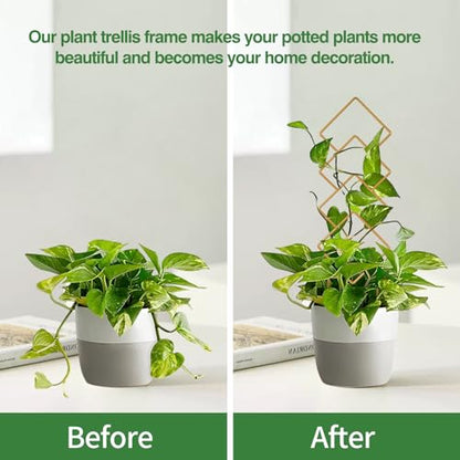 Wellsign 16inch Indoor Plant Trellis for Potted Plants | 4Pack Gold Small Trellis for Climbing Plants Outdoor Garden Metal Trellis with Different Patterns for Vine Ivy Flower Plant - size: Gold-Metal-Trellis01
