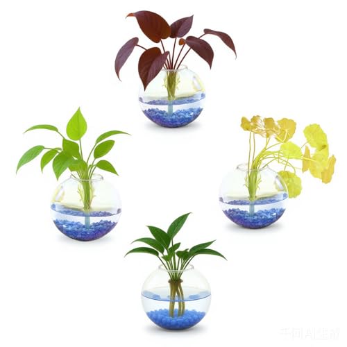 4 pcs Glass Wall Hanging Planter, Oval Terrarium Vase, Propagation Station for Hydroponics, Indoor Plants, Home Office Decor (Large) - size: Large