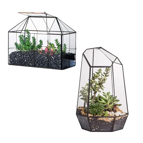 NCYP Glass Terrarium - Glass House Shape Terrarium with Lid, and Geometric Open Glass Terrarium Planter, for Small Succulent Cacti, Garden Tabletop Decor (No Plants)