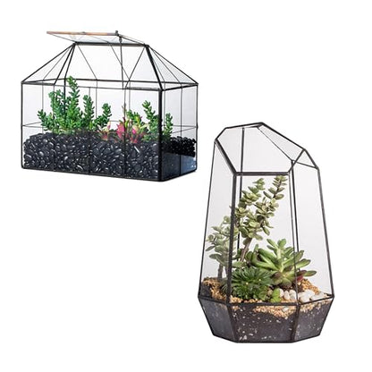 NCYP Glass Terrarium - Glass House Shape Terrarium with Lid, and Geometric Open Glass Terrarium Planter, for Small Succulent Cacti, Garden Tabletop Decor (No Plants)