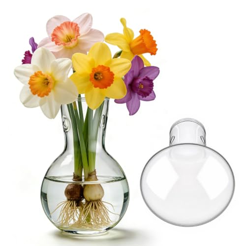 2pcs Glass Planter Bulb Vase, Plant Terrarium Propagation Station Propagation Vases for Indoor Home Garden Office Decor