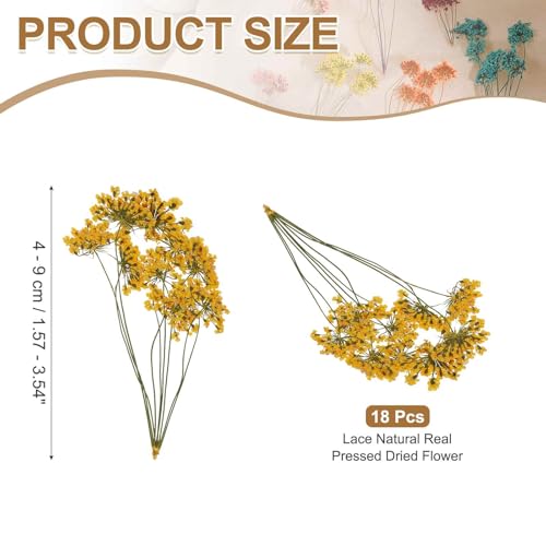 MECCANIXITY 18 Pcs Natural Dried Pressed Flowers for Craft, Lace Real Pressed Dried Flowers Colorful Bouquets for Resin Moulds DIY Scrapbooking Candle Jewelry Making, Yellow - color: Yellow