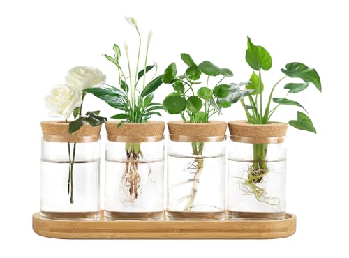 Dahey Plant Propagation Stations, 4 Pcs Glass Vases with Wooden Stand & Lid | Fits Indoor Hydroponic Cuttings, Clear Planter for Root View, Cork Anti-evaporation, Water Propagation Jars, Home Table Decor - color: Brown, Clear, size: Large