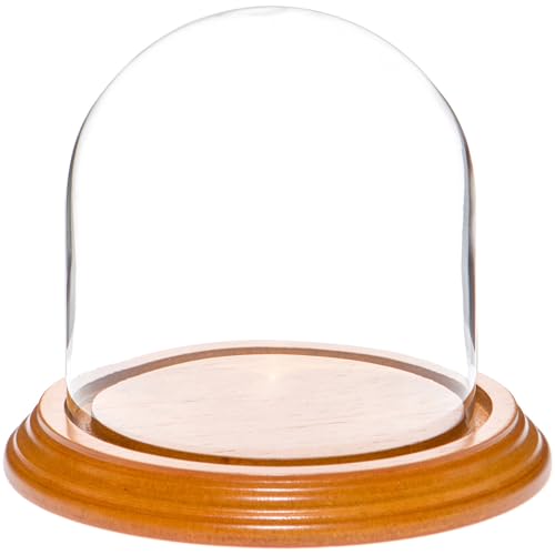 Plymor 4" x 4" Glass Display Dome Cloche (Oak Veneer Base) - color: Oak Veneer Base