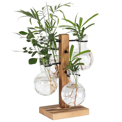 Plant Propagation Station with 4 Glass Vases & Wood Stand, Hydroponic Air Planter for Indoor Plants, Unique Gardening Gift for Women & Plant Lovers, Desktop Terrarium for Home Decor