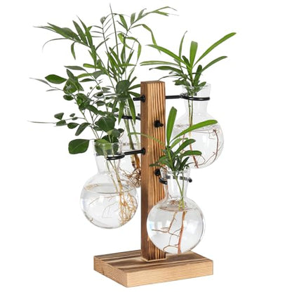 Plant Propagation Station with 4 Glass Vases & Wood Stand, Hydroponic Air Planter for Indoor Plants, Unique Gardening Gift for Women & Plant Lovers, Desktop Terrarium for Home Decor