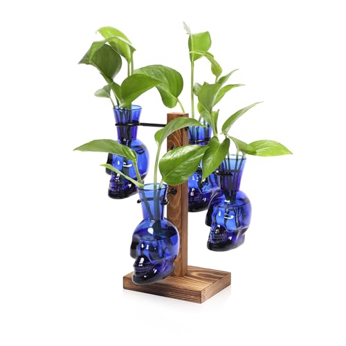 Plants Propagation Stations Skull Glass Propagation Birthday Gift for Women - color: Blue